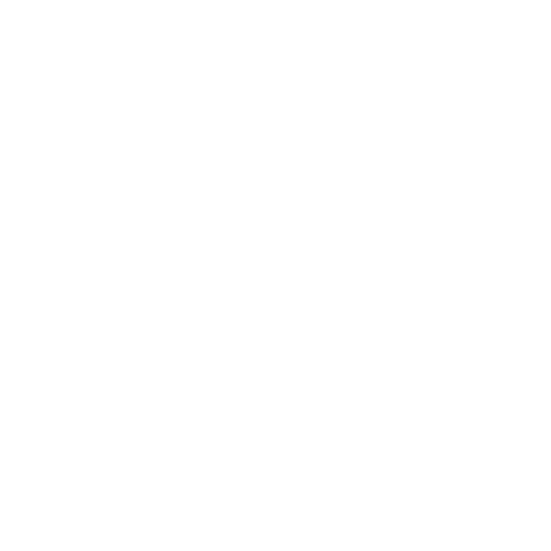 lightbulb thin icon